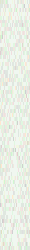 white250.gif (5725 bytes)